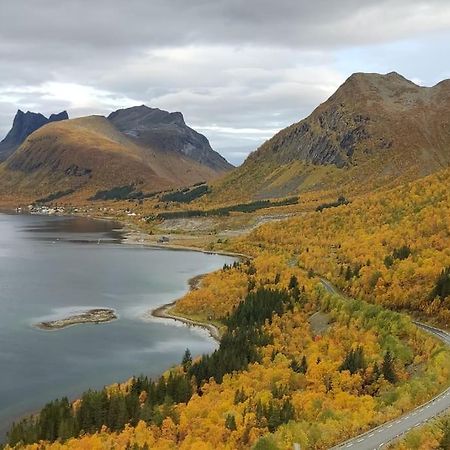 Appartamento Norwegian House Maria Stua Mefjordvær Esterno foto