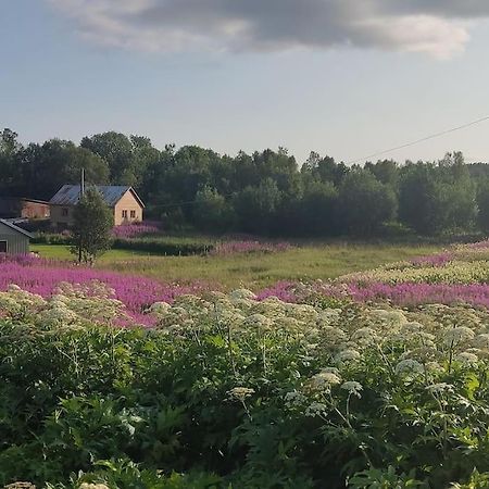 Appartamento Norwegian House Maria Stua Mefjordvær Esterno foto