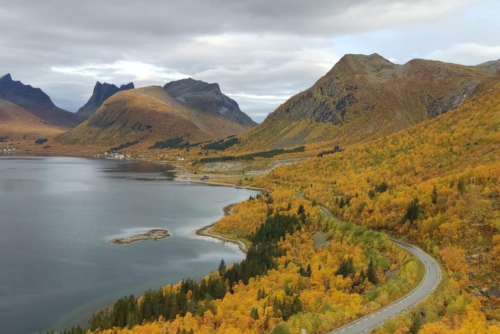 Appartamento Norwegian House Maria Stua Mefjordvær Esterno foto