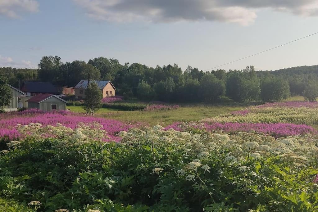 Appartamento Norwegian House Maria Stua Mefjordvær Esterno foto