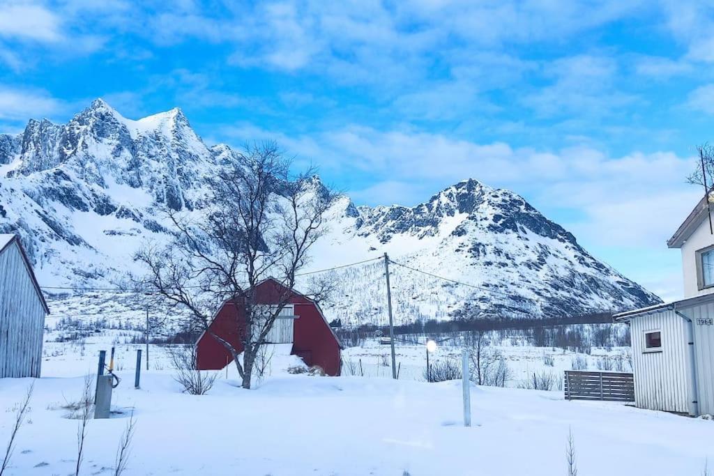 Appartamento Norwegian House Maria Stua Mefjordvær Esterno foto