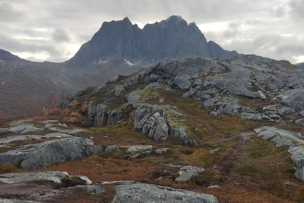 Appartamento Norwegian House Maria Stua Mefjordvær Esterno foto