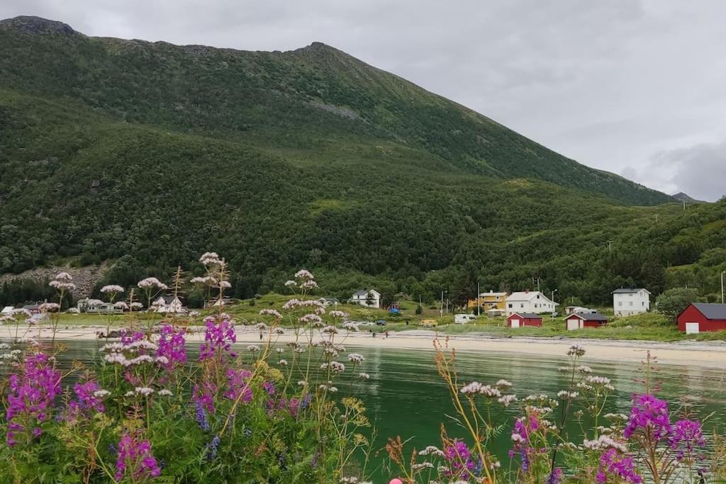 Appartamento Norwegian House Maria Stua Mefjordvær Esterno foto