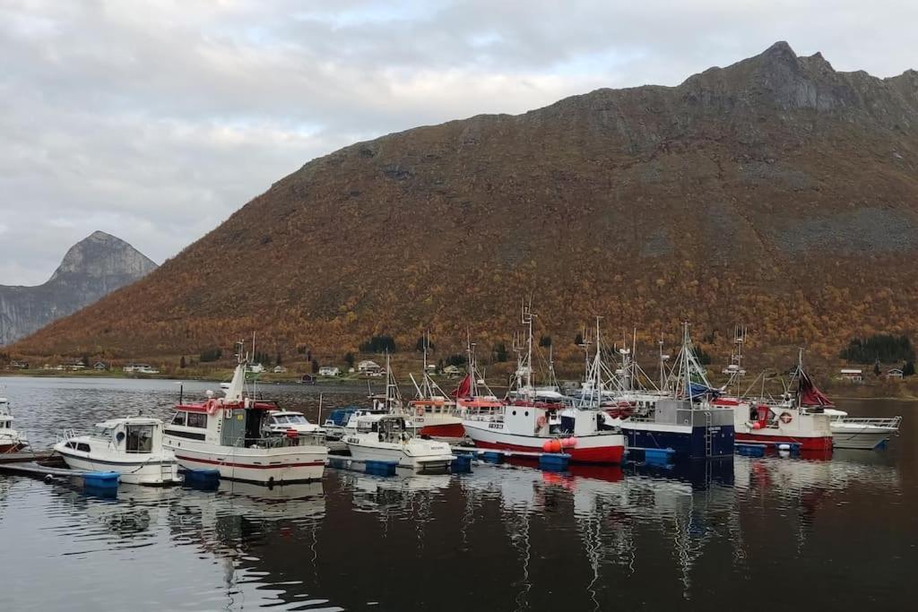Appartamento Norwegian House Maria Stua Mefjordvær Esterno foto